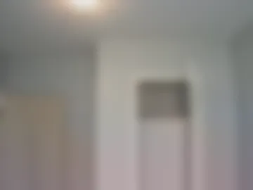 007_springer photo 4