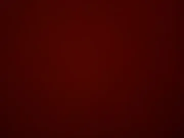 13nice13 live webcam preview