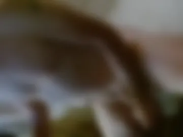14xxxromeo live webcam preview