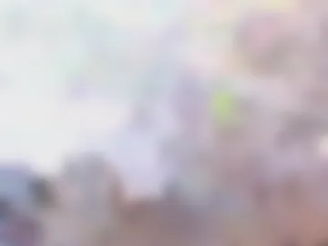 1andonlyzona photo 3