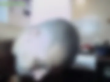 1manshow11 photo 4