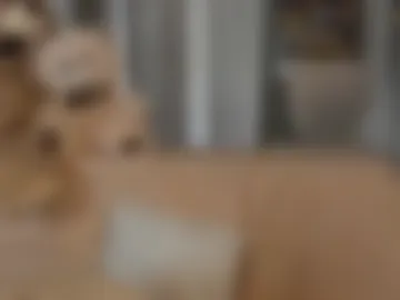 1only_sex1 photo 3
