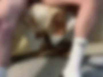1rockersteve live webcam preview