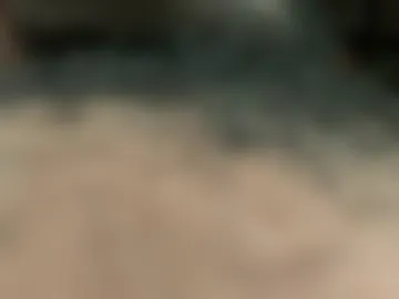 2100900336king live webcam preview