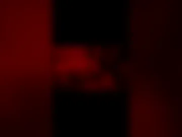 2littlefox live webcam preview