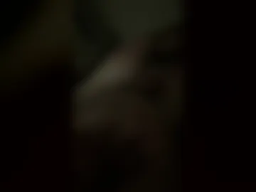 334slim live webcam preview