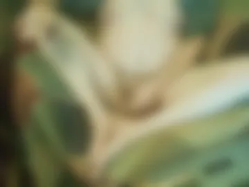 69georgie777 photo 5