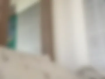 _alan_bear_ webcam preview