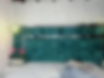 _bonnyandclyde webcam preview