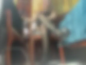 _brendamichel_ photo 6