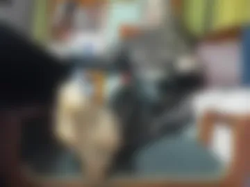 _brendamichel_ photo 8