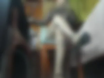 _brendamichel_ photo 4