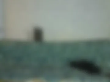 _by_double_sexy_miss_ live webcam preview
