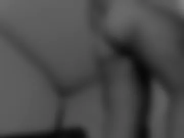 _craftsman photo 5