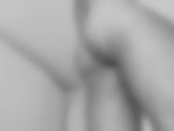 _craftsman photo 3