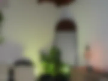 _eme webcam preview