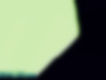 _fuckinparadise webcam preview