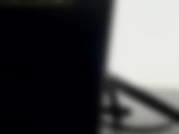 _layne webcam preview