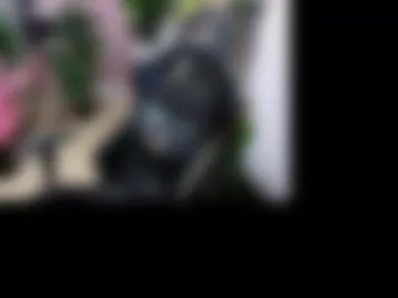 _nymphomaniac__ webcam preview