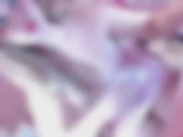 _sugarmelody photo 5