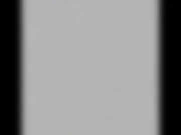 _tammarra_ webcam preview