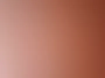 _web_bae webcam preview