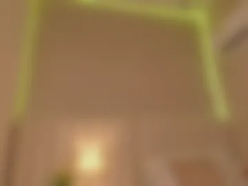 _wendy_x webcam preview