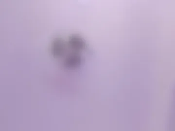 abbey_walker photo 4