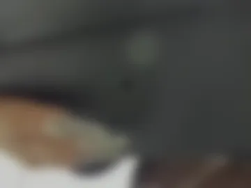 abbiee_collins photo 3