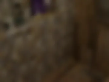 abirelis live webcam preview