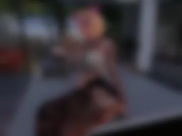 adelehard webcam preview