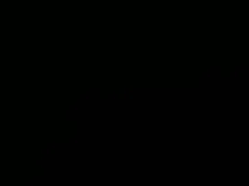 african_blackbull photo 8