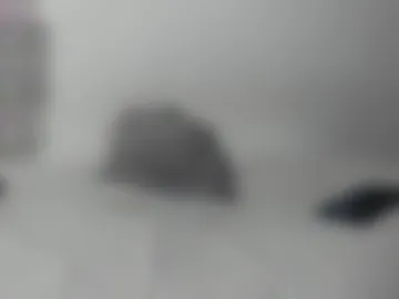 alan_newton1 webcam preview