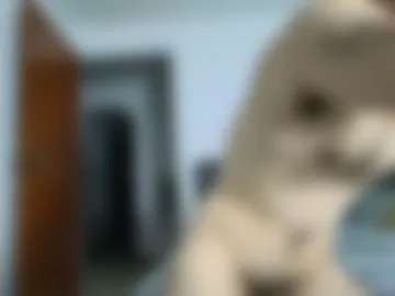 alejandro_bigcock webcam preview