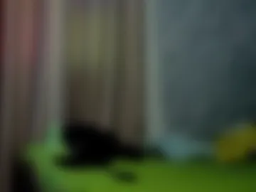 alejandrojf_00 photo 6