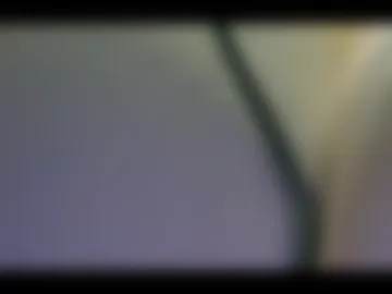 alexkerala84 photo 6