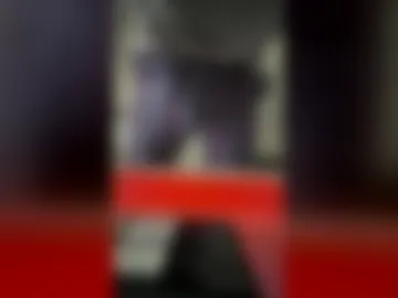 alexsex277 live webcam preview