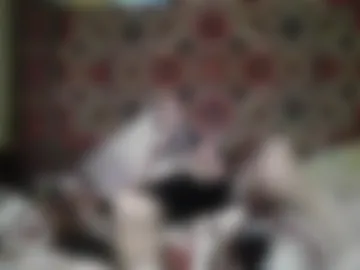 alferezsolvajo webcam preview