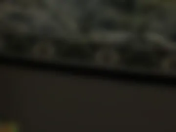 alice1nwonderland webcam preview