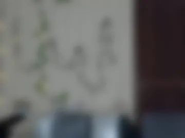 alicia_side_red photo 7