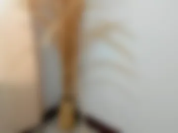 alid_17 webcam preview