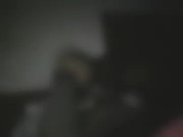 aligraphy786 photo 3