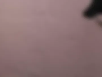 alison_smith372242 live webcam preview
