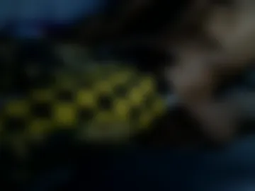 allthewayup10 live webcam preview