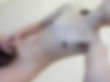 althea_dolly photo 8