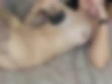 alyson_skyler webcam preview