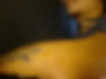 amateurmen33 live webcam preview