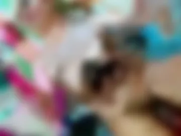 amayaisabella webcam preview