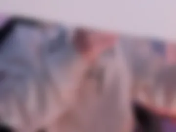 ambermiller04 photo 6