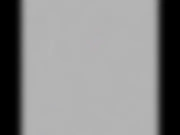 ami_berner live webcam preview